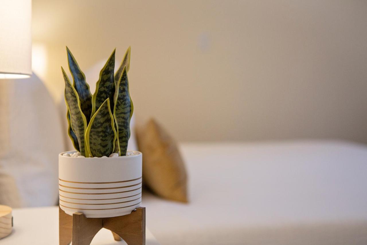 Stirling All Suites Hotel Nelson Buitenkant foto